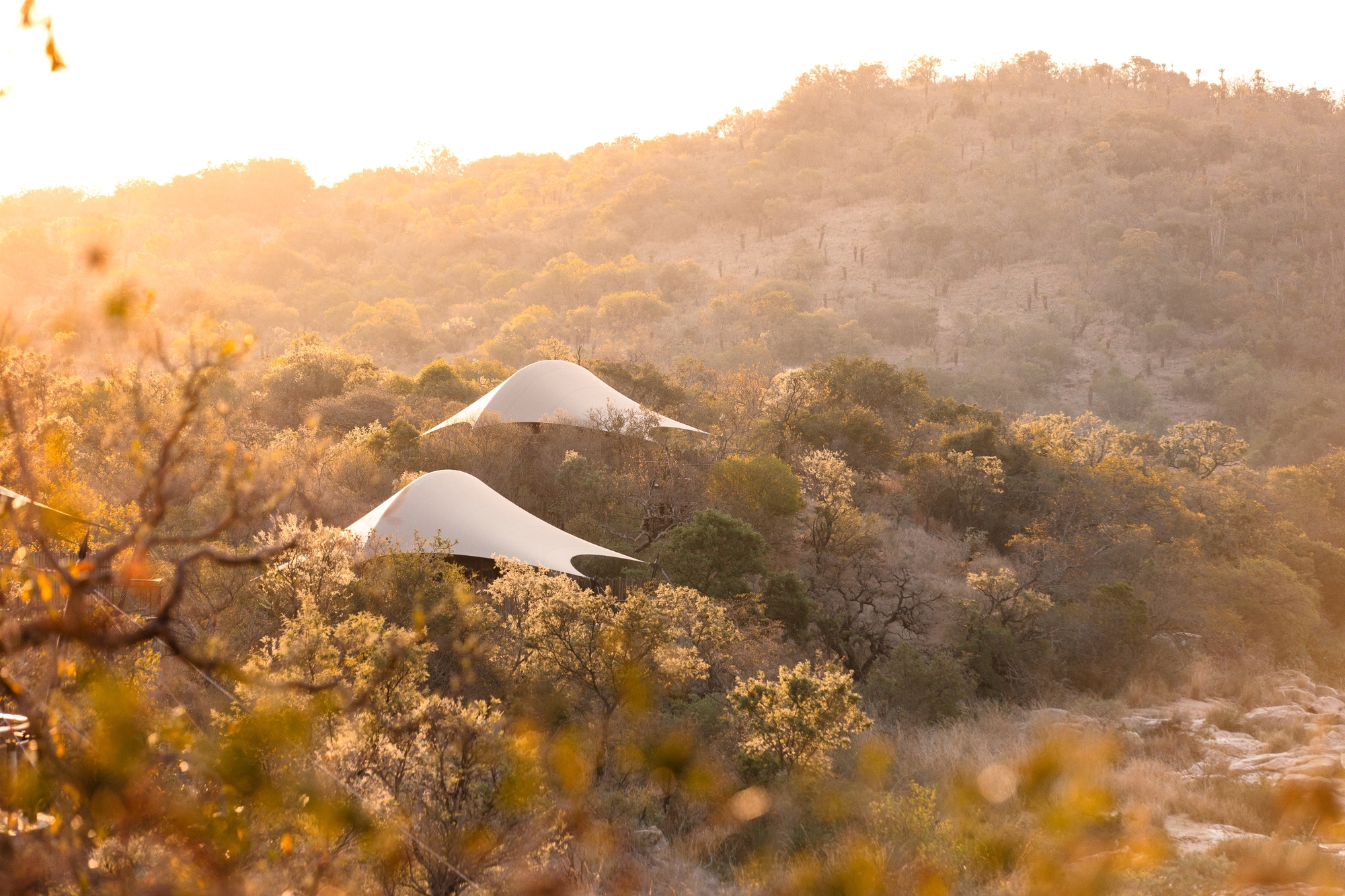 丨南非丨Luxury Frontiers-26