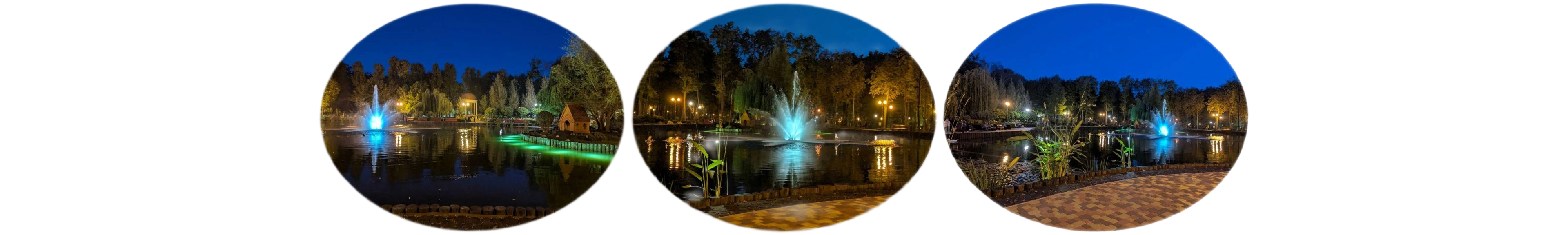 世界上的树木丨Sylvie D.-191