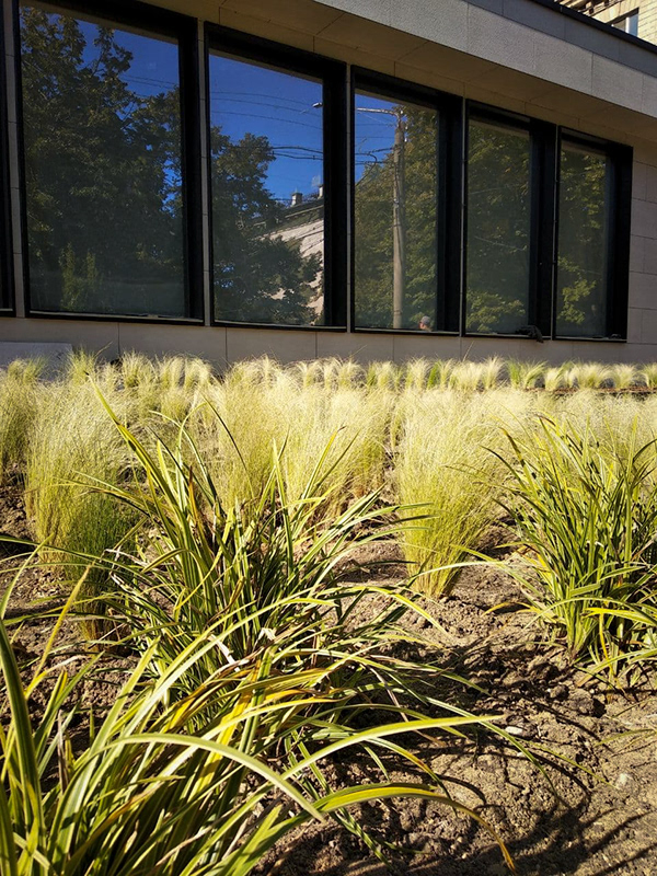 店铺景观设计-17