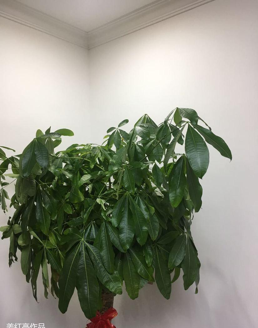 
南昌市青山湖区阳光嘉苑10-1-1801 -21