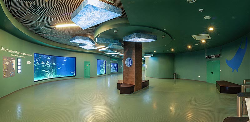 “Moskvarium”海洋馆丨俄罗斯莫斯科丨Aqua Logo Engineering-35