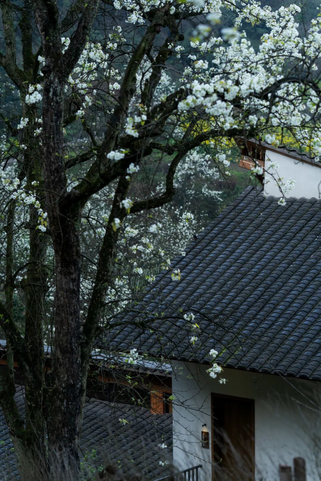 不在山林 · 泸州梨花村丨中国泸州丨小隐建筑事务所-136