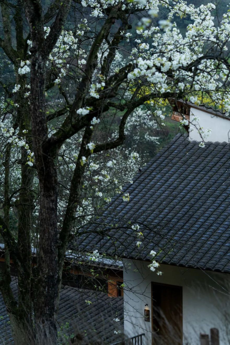 不在山林 · 泸州梨花村丨中国泸州丨小隐建筑事务所-136