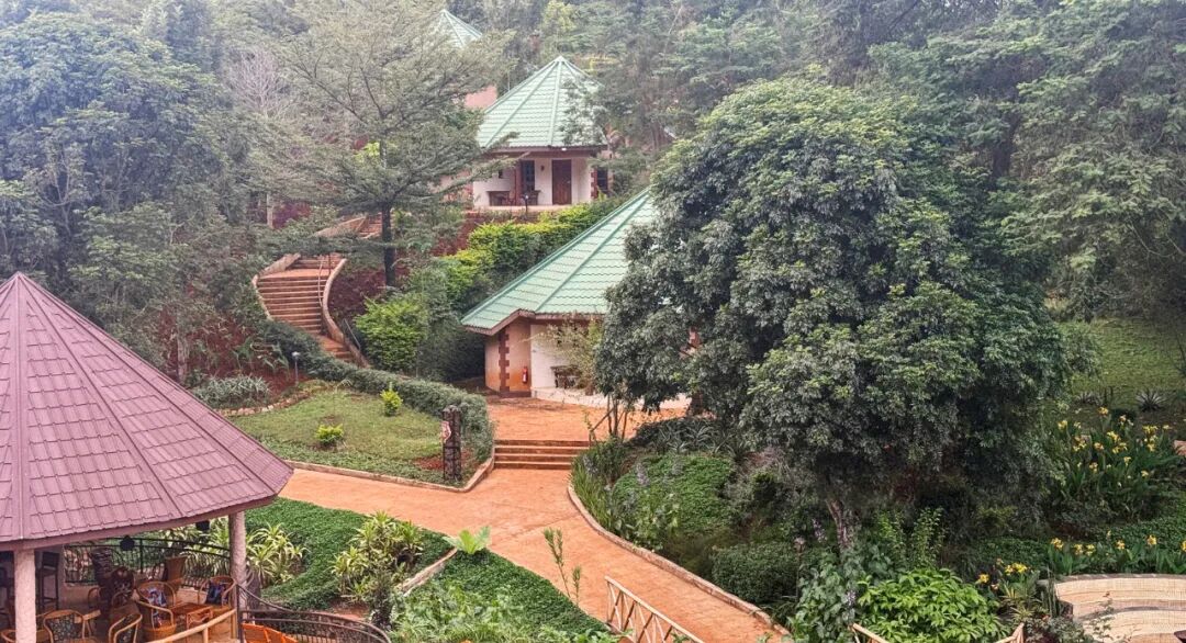 非洲考察2|坦桑酒店探访-13