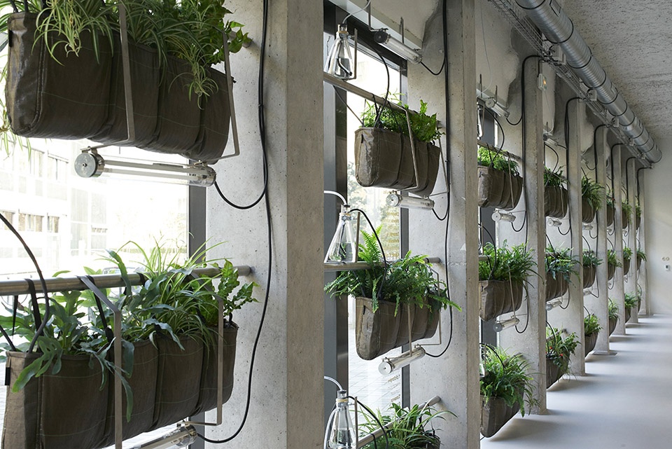 南特大学研究中心绿色立面系统 | 绿意盎然的水培植物模块-8