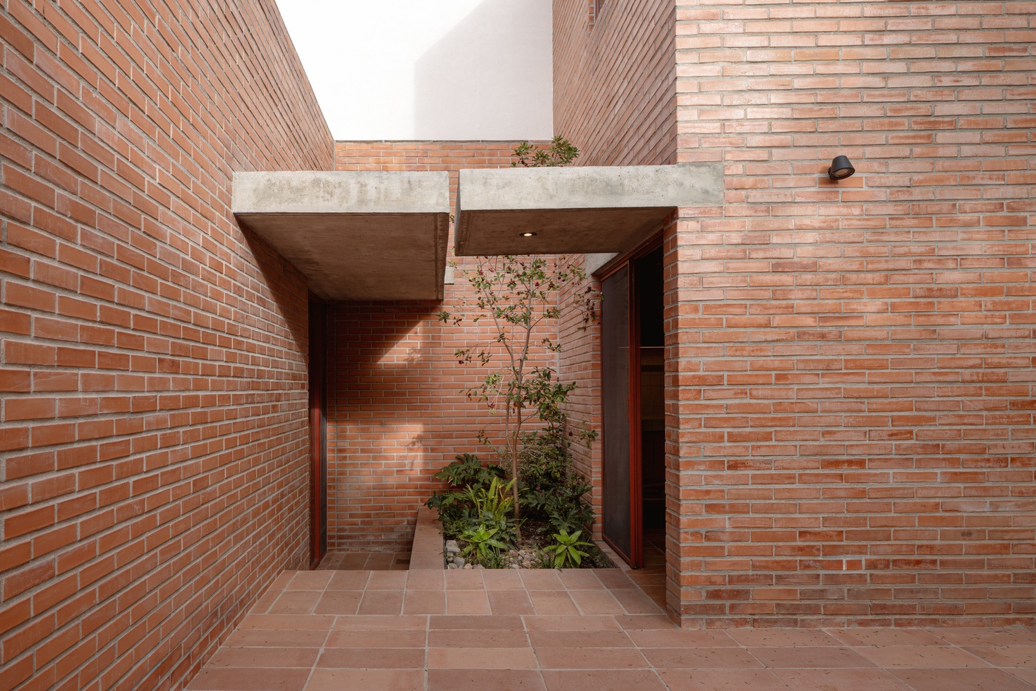 Pirules住宅丨墨西哥丨Escobedo Soliz-11