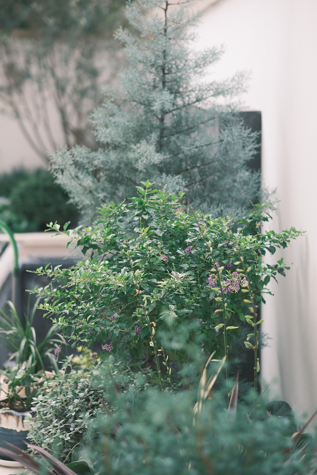 华润桃源里别墅丨中国合肥丨万灵设计（合肥）-91