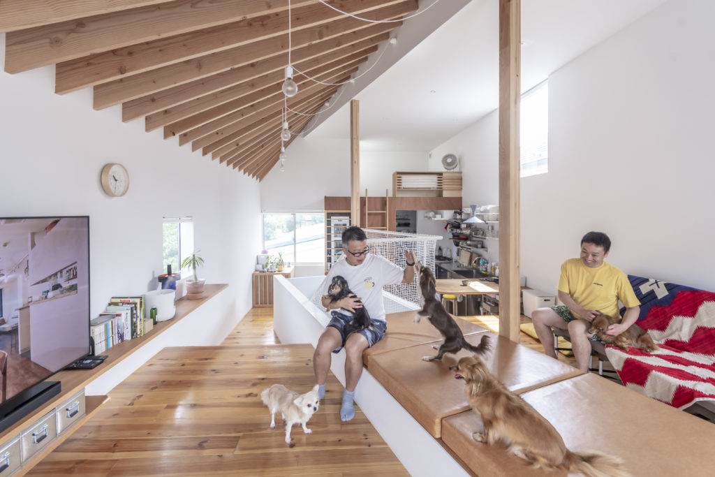 対角線上にゆるやかな階段が通る家 ５匹の犬たちとともに伸びやか、おおらかに暮らす | Architecture | 100%LiFE-5
