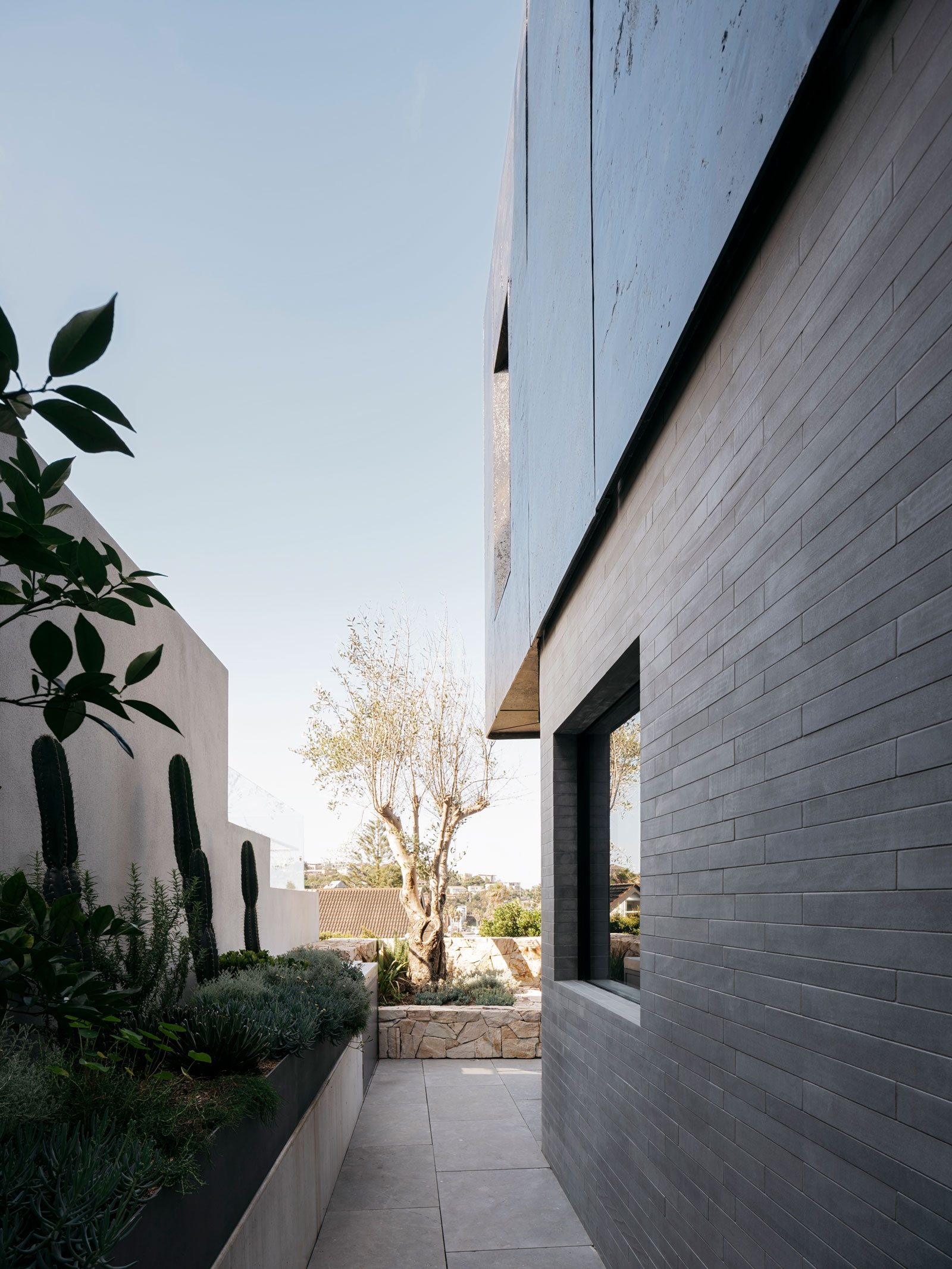 马托波斯之家丨澳大利亚丨Atelier Andy Carson-25