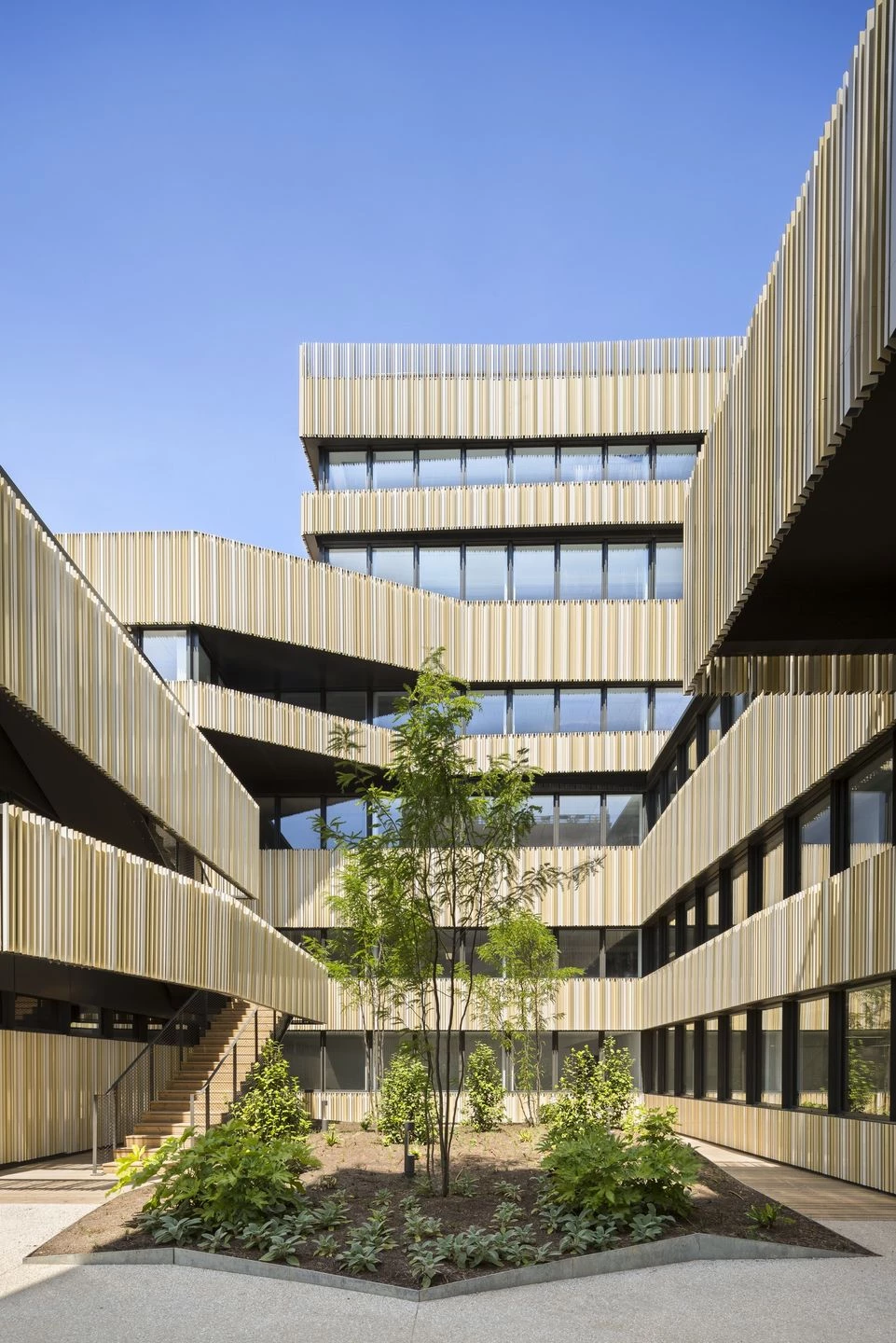 Montrouge“comb”建筑-10