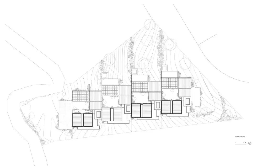 蕨类植物丨墨西哥丨Taller Hector Barroso-25