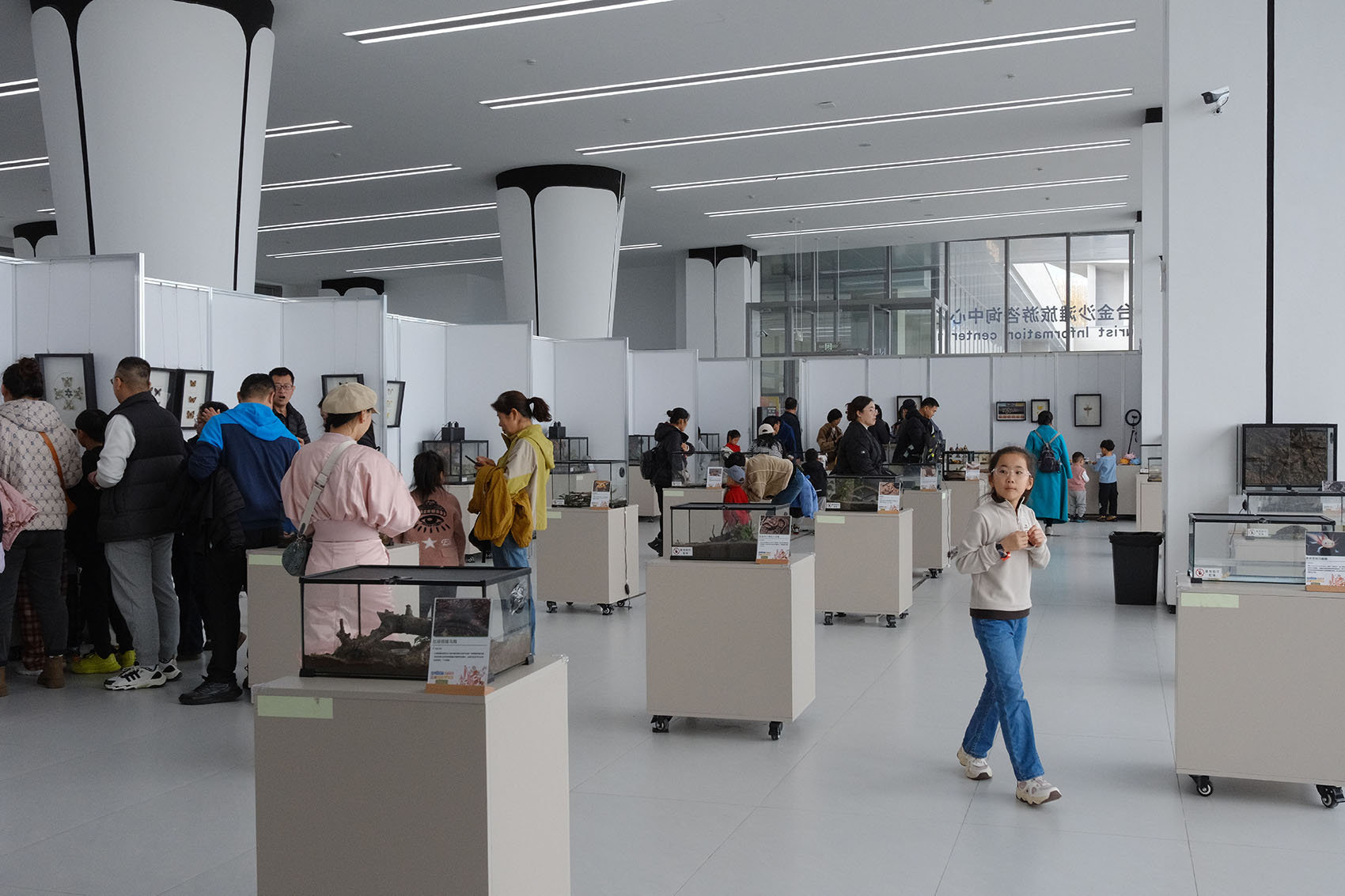 烟台八角湾游客服务中心丨中国烟台丨上海大椽建筑设计事务所-113