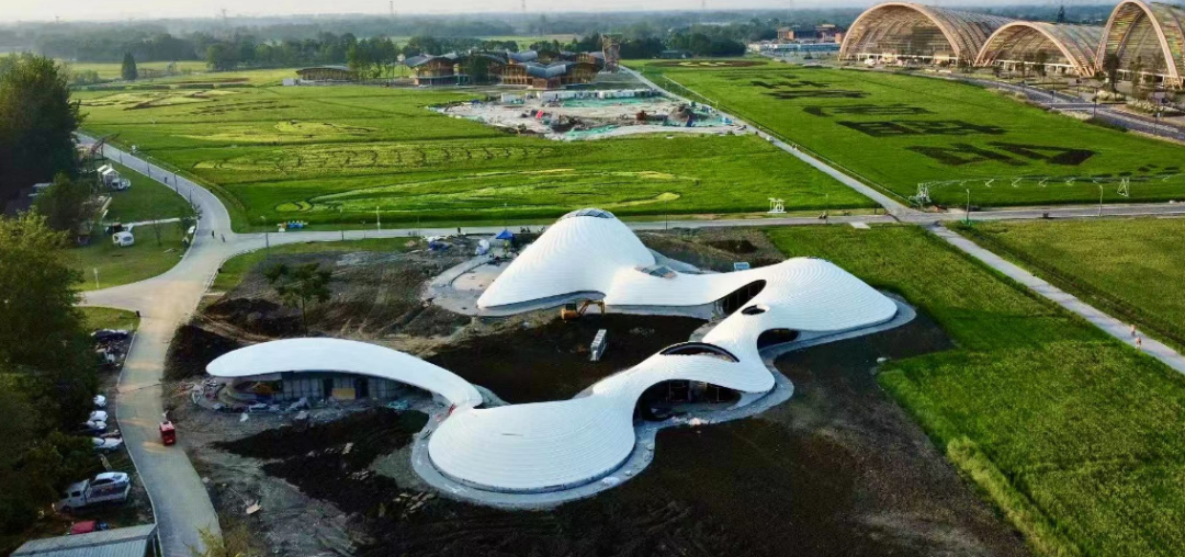 揭秘大跨度互承式木构奇迹-天府农博园-1