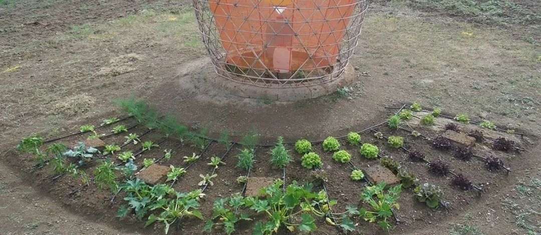 非洲“花篮”供水设计,竹条编织 Warka Water 成取水利器-47