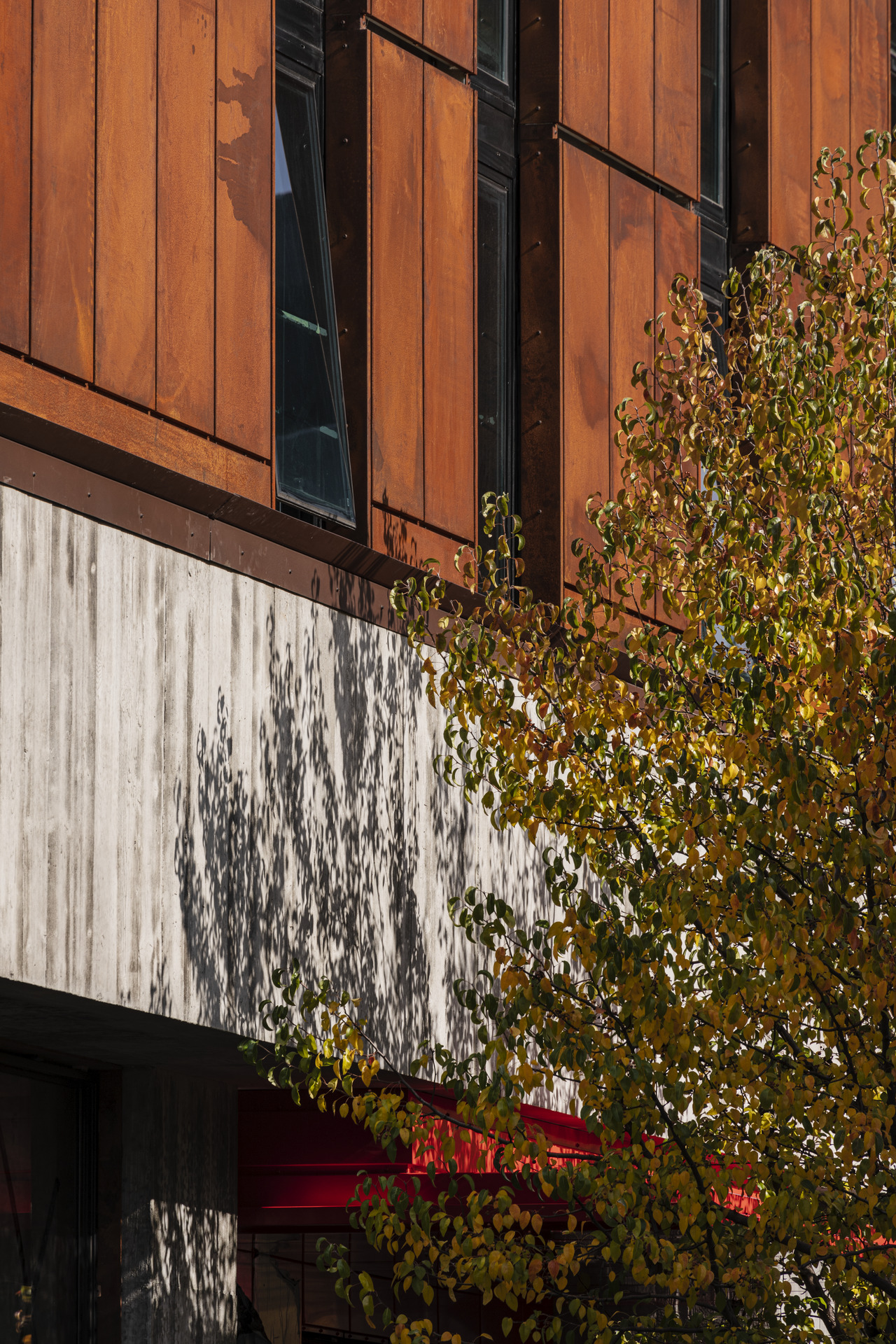 The StandardX | Woods Bagot-11