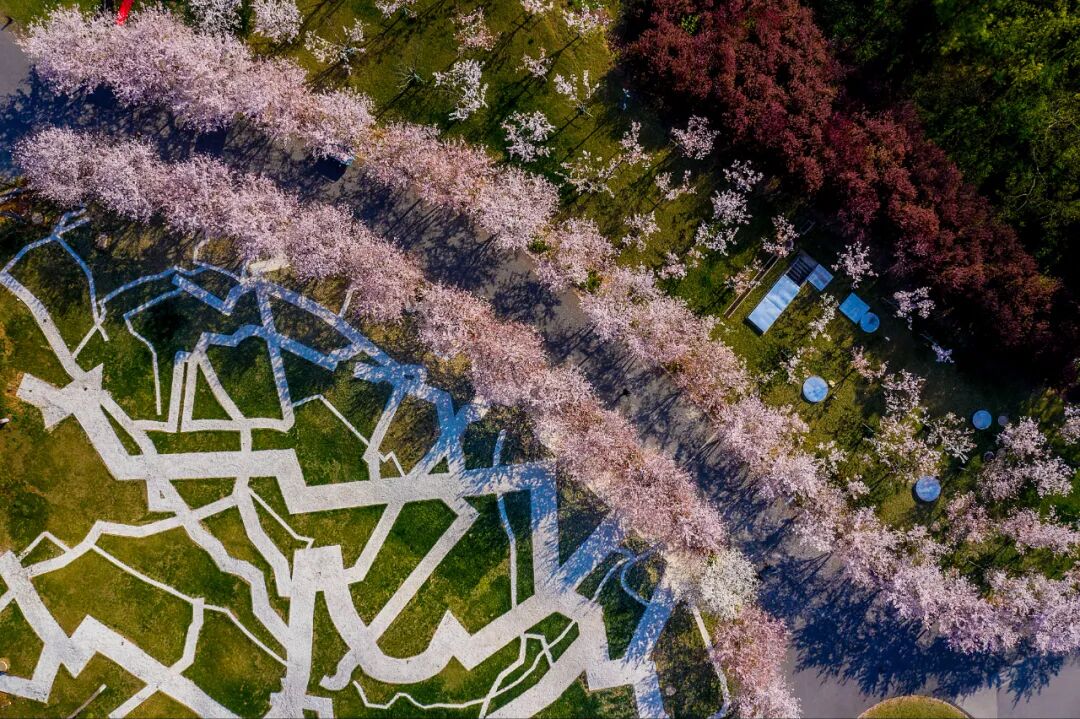 四方音乐岛开放预约！大江北岸新地标，限时免票登岛-46