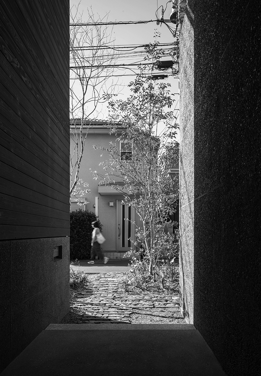 井之头之家丨日本东京丨T.Teshima Architects-11