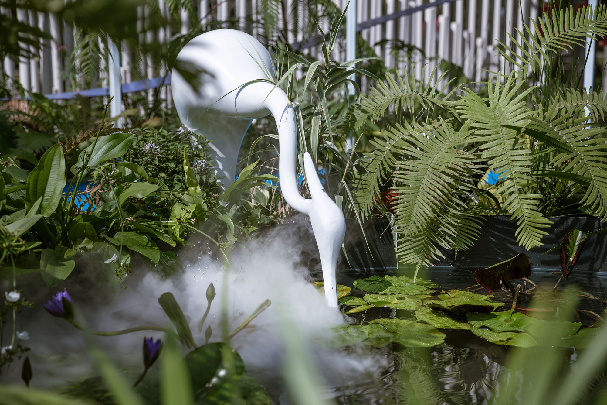 深圳簕杜鹃花展坪山区精品花园丨中国深圳-20