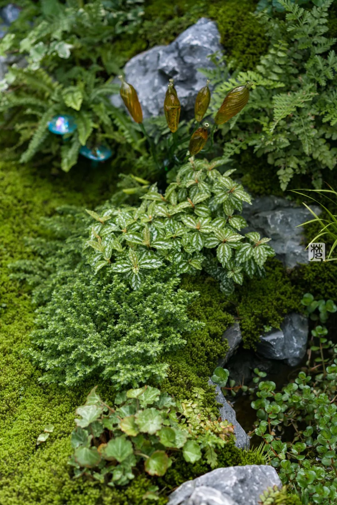 麓湖 B2 黑鉐样板岛丨中国成都丨乐道景观-104