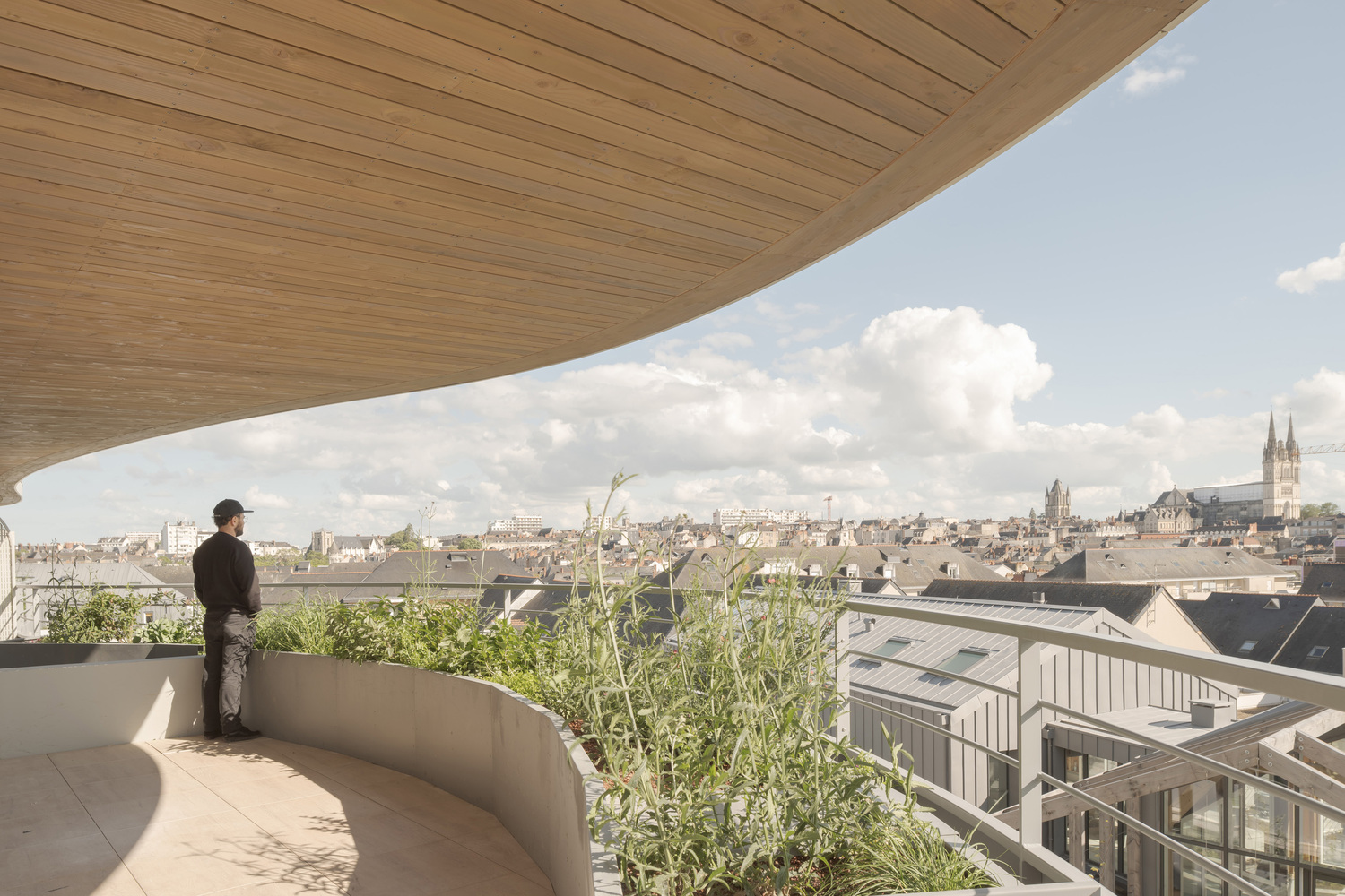 
将绿色和自然光融入集托儿所老年公寓一体的住宅楼设计 - 戈者设计 | 戈者设计-13