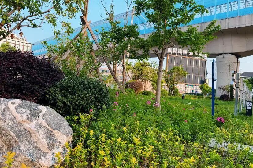 从竞赛图纸到童趣天地——省级创新设计二等奖“邻里八音盒”桥下空间已落地生根-32