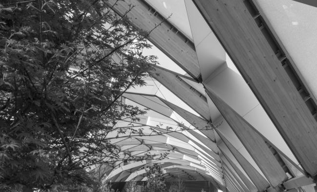 Crossrail「КэнериУорф」车站及屋顶商场与花园丨英国伦敦丨Foster+Partners,Gillespies,ARUP等-26