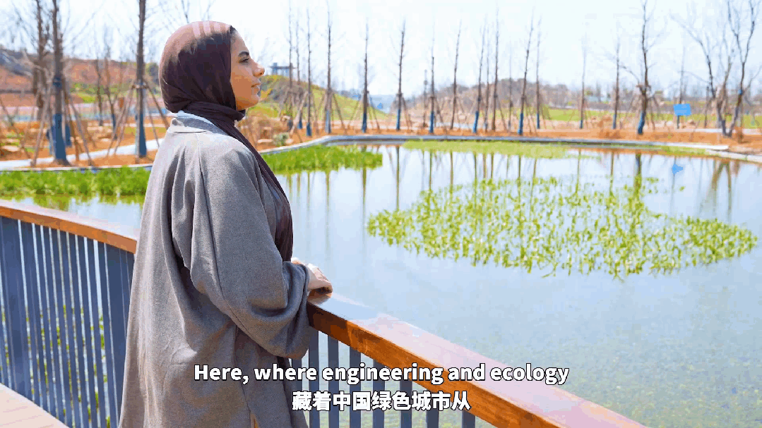 诺拉的“中国建造”行|当科技听见7平方公里的“呼吸”-22