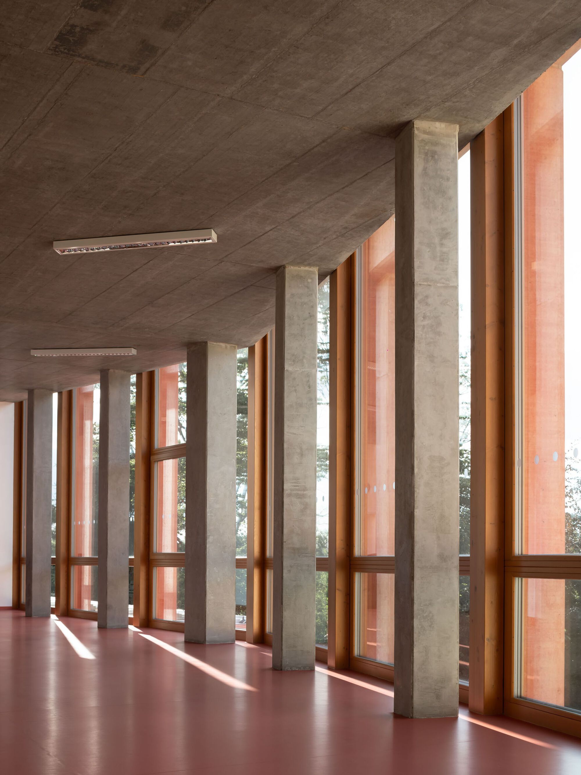 Studenec 村小学及幼儿园扩建项目丨Chrama-32