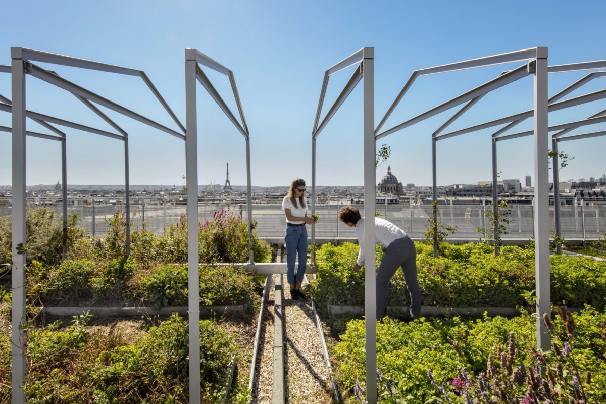 巴黎 Pernod Ricard 总部办公空间设计丨法国巴黎丨Saguez & Partners-28