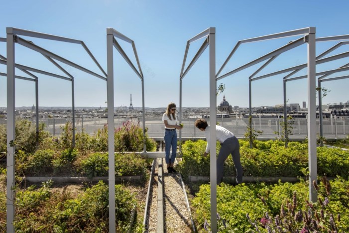 巴黎 Pernod Ricard 总部办公空间设计丨法国巴黎丨Saguez & Partners-28