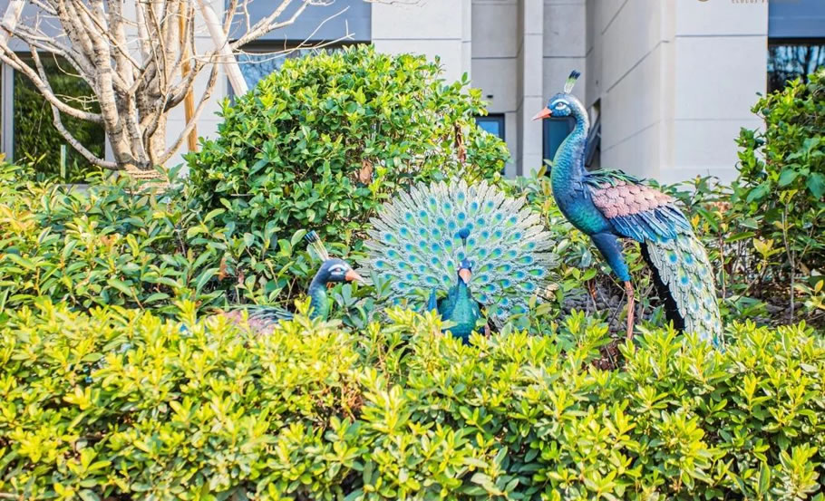 常州中海·云樾里二期丨中国常州-12