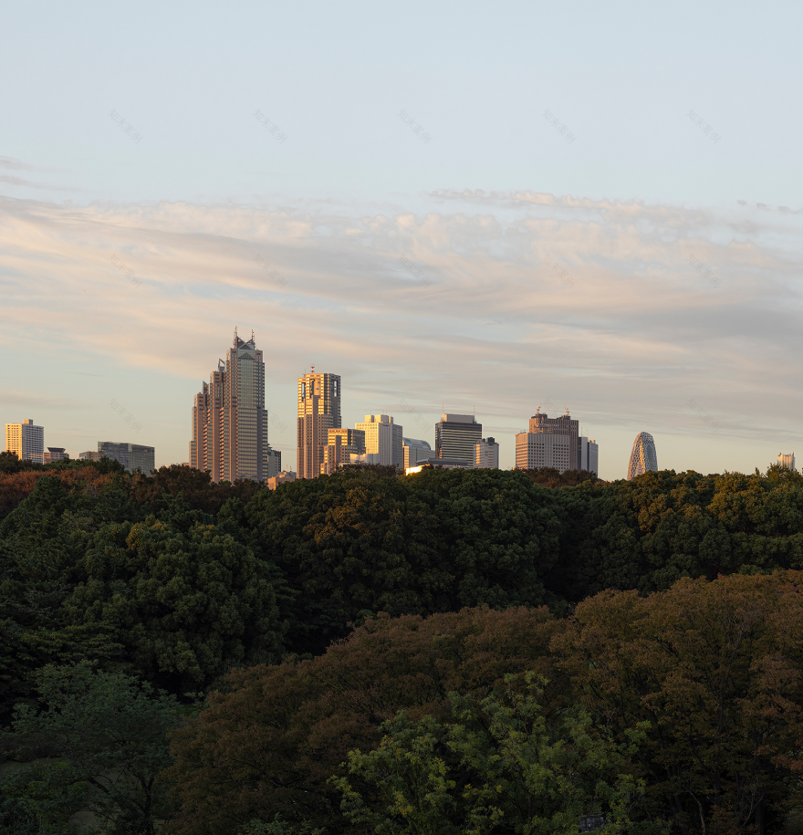 代代木公园(酒店)行李箱丨日本东京-5