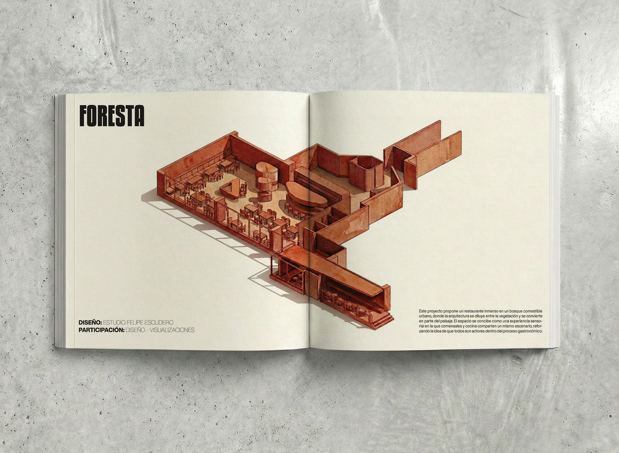PORTAFOLIO 2026-15