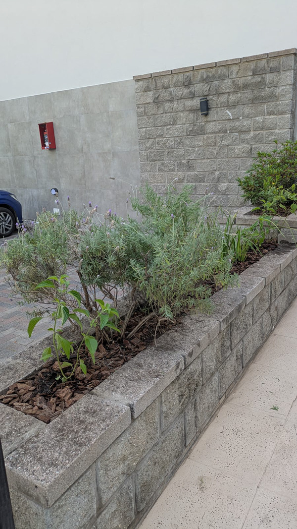 博尼法西奥项目-6