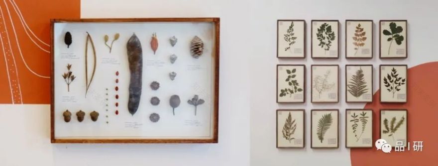 架空层设计 | 多功能空间的进化与创新-524