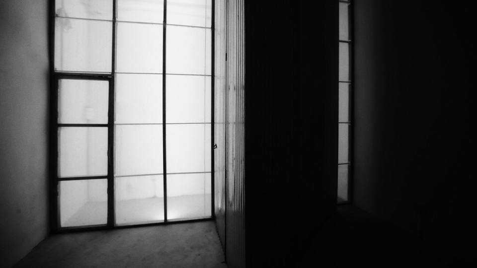 理智与情感的 NSNL 空间-20