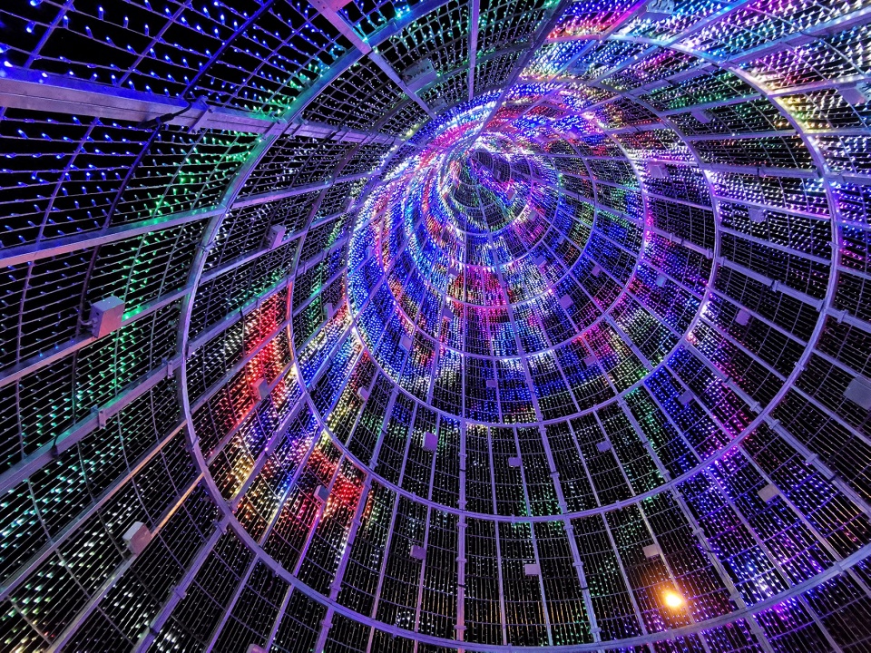 丹佛 110 英尺高动态灯光装置·“英里高树”-23