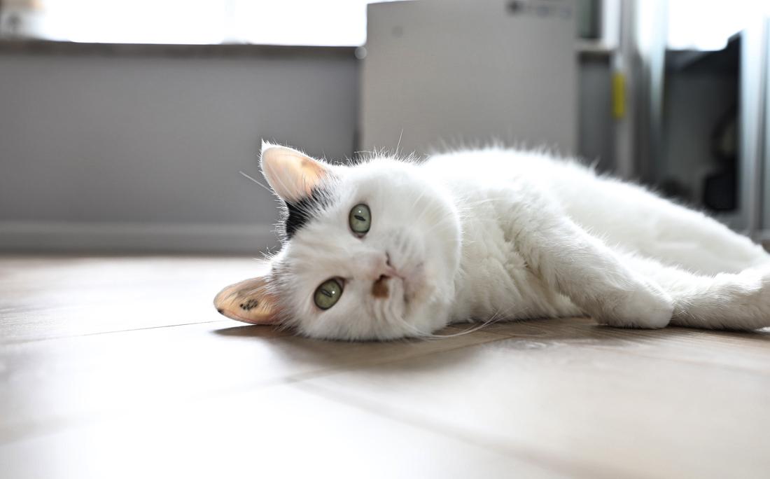 现代家居设计-33