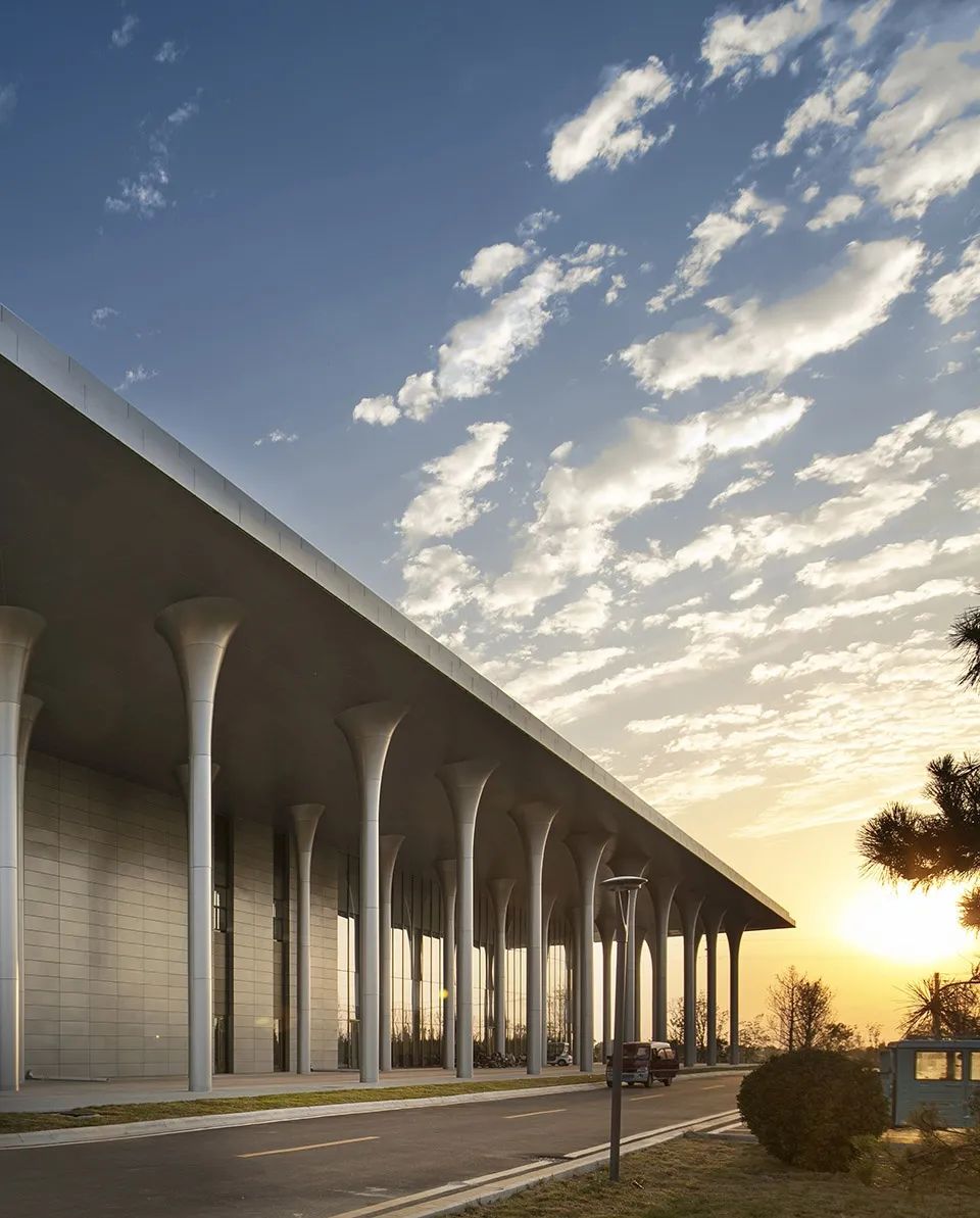 邹城市蘑菇展览馆丨同圆设计集团股份有限公司-25