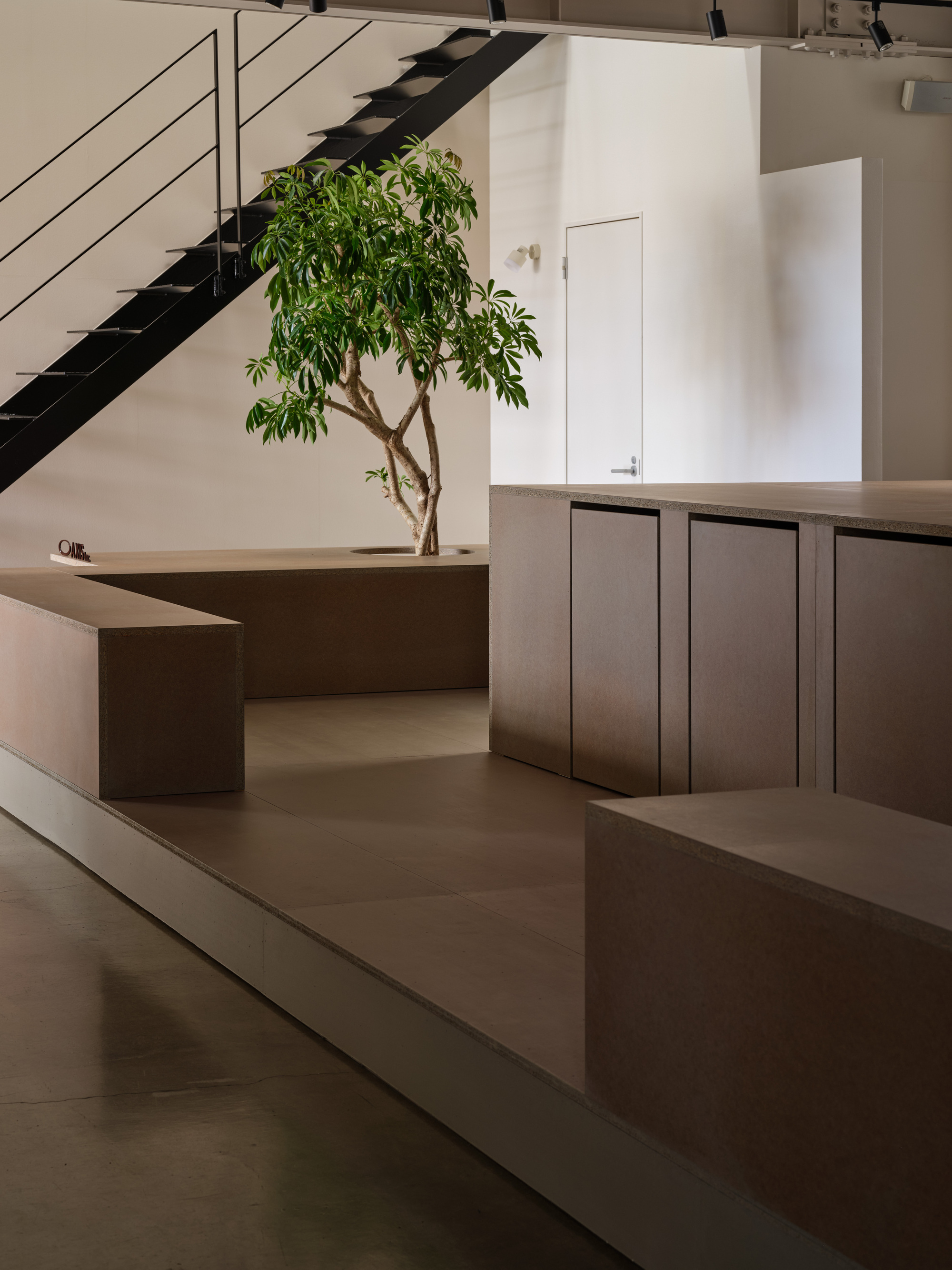 丨日本丨moss.-12