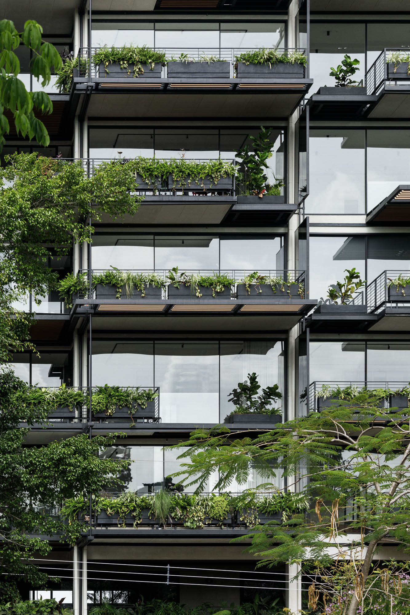 栀子丨哥斯达黎加圣何塞丨Studio Saxe-35