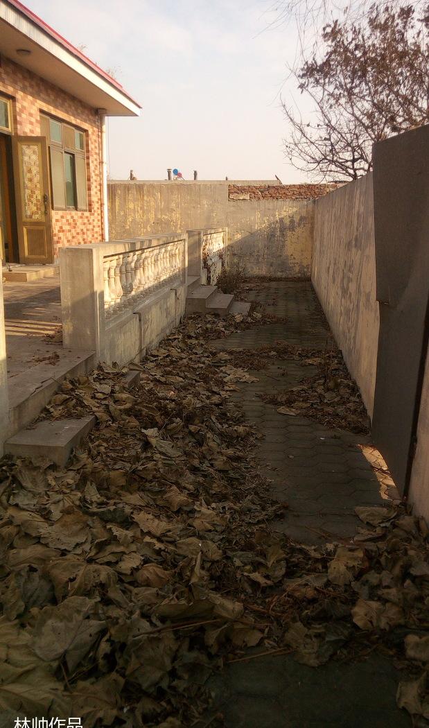 北戴河瑜伽小院——林设计师打造自然禅意空间-4