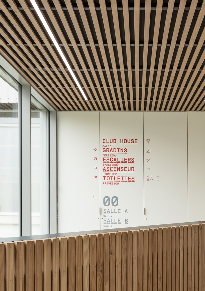 吕克·博格利打造的地形嵌入式体育设施-46