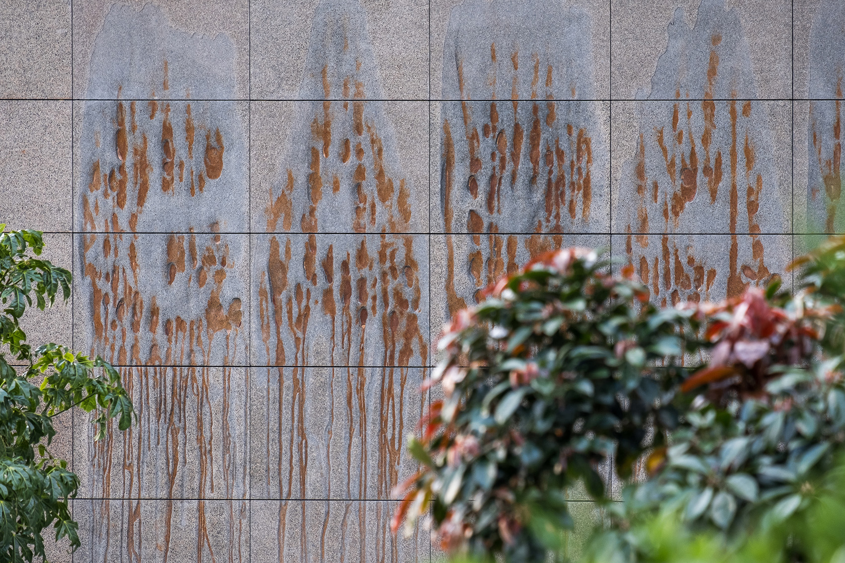 “Garabara”立面艺术装置，悉尼 / UAP + Robert Andrew-12