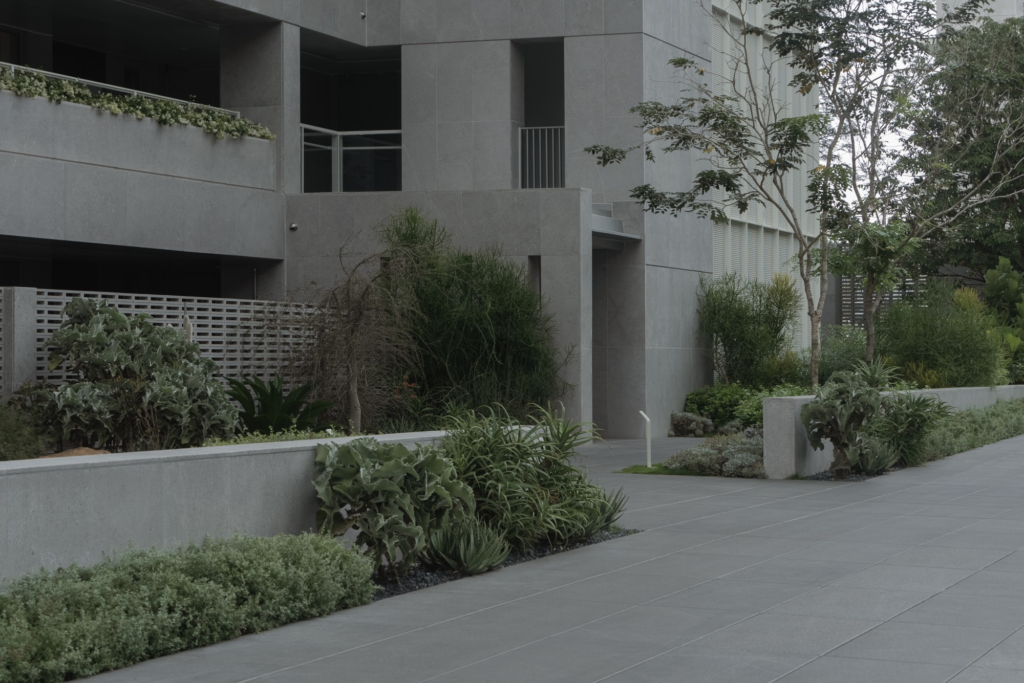 阿那亚三亚·山之境(东区)丨中国三亚丨WTD纬图设计-66