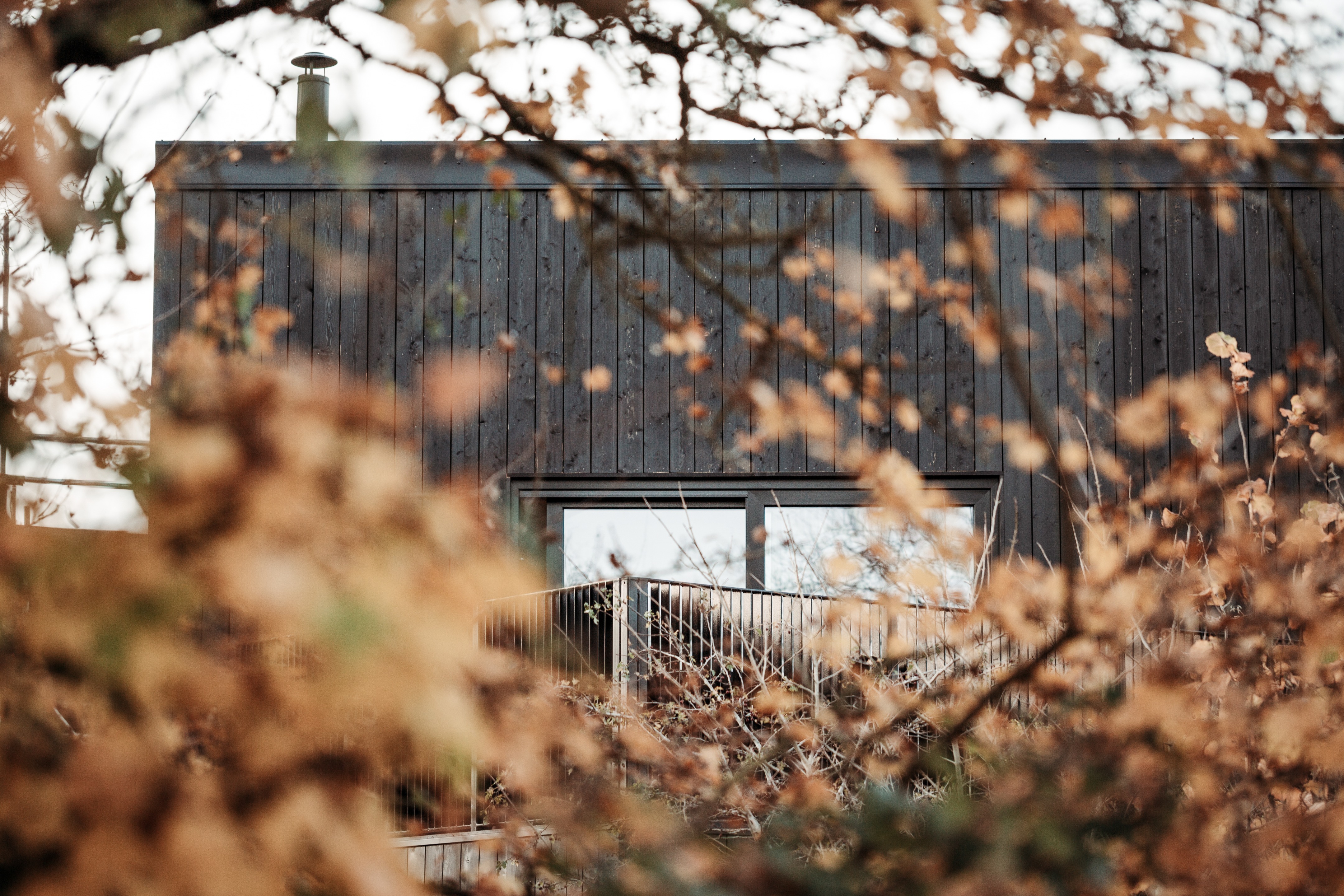 猎鹰之家丨英国丨Koto Design-6