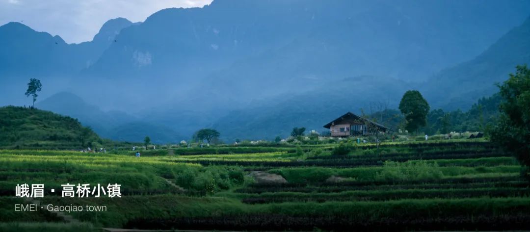 城市掌心的生态山野——麓野公园-329