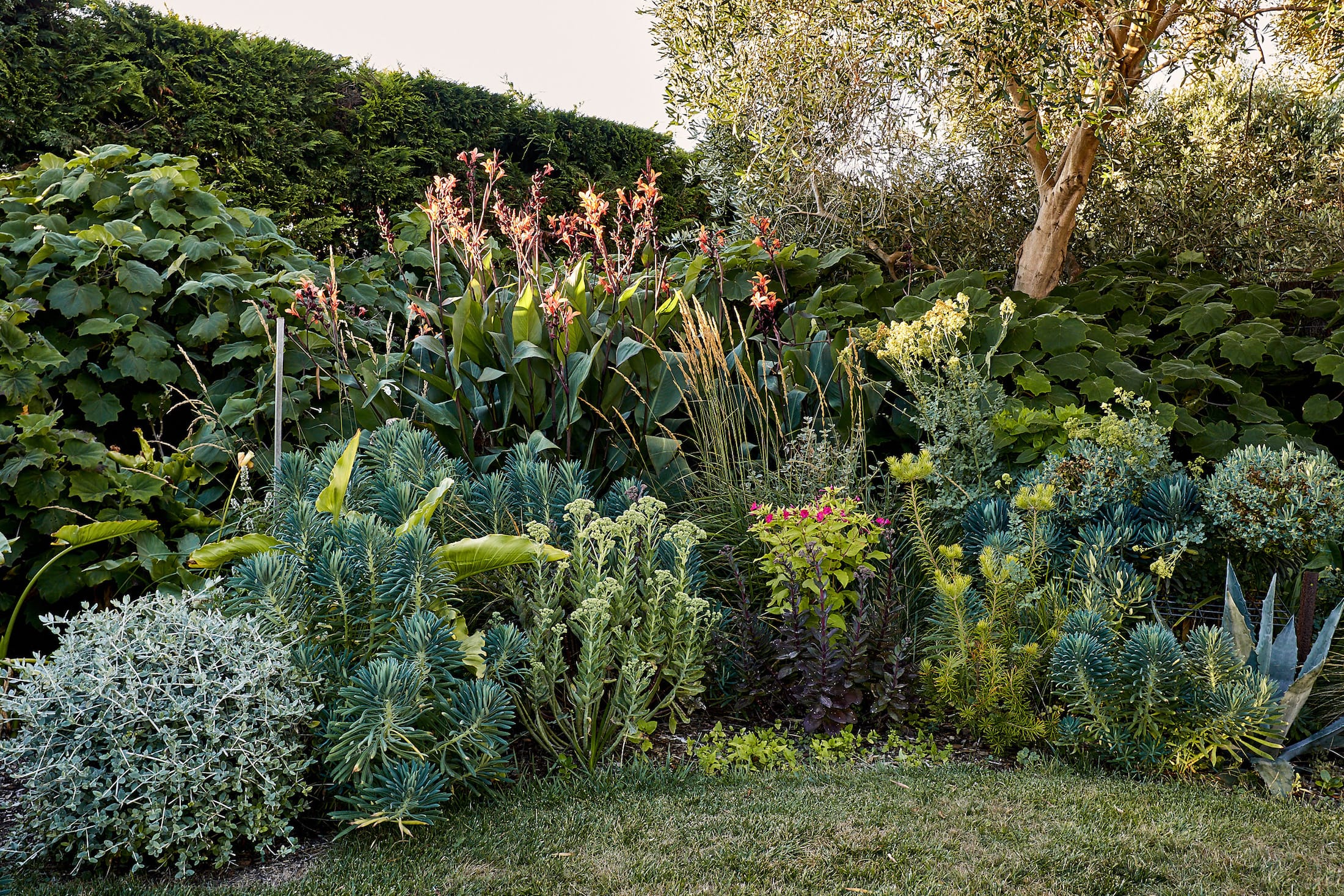 莫宁顿梦境花园-43