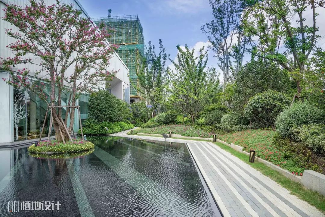 春风十里,赏鉴各地居住区春日美景-13