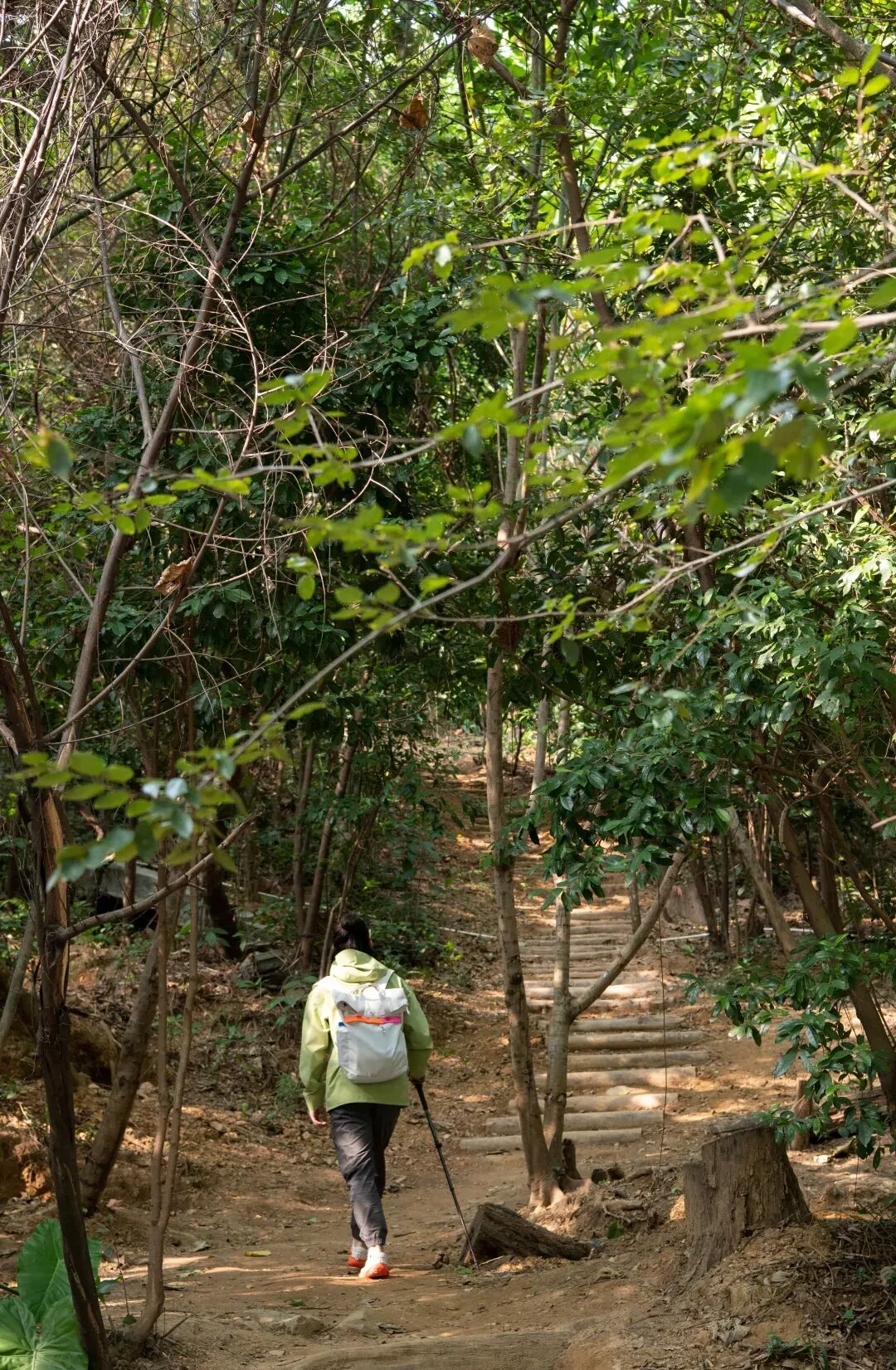 未名新作|山野有乾坤都市藏鲲鹏-深圳山海连城计划罗湖区东湖公园郊野径-莲塘口岸线-110